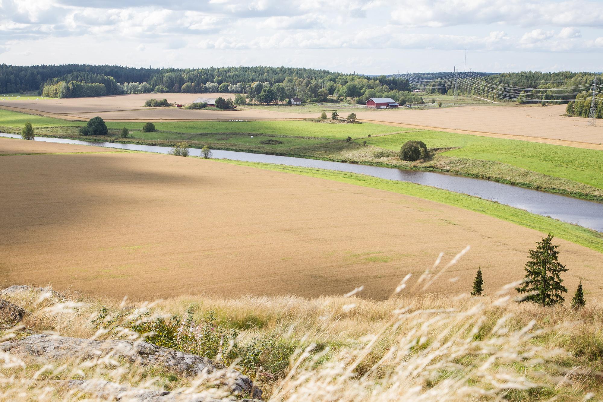 Varsinaissuomalainen peltomaisema, jota halkoo Aurajoki