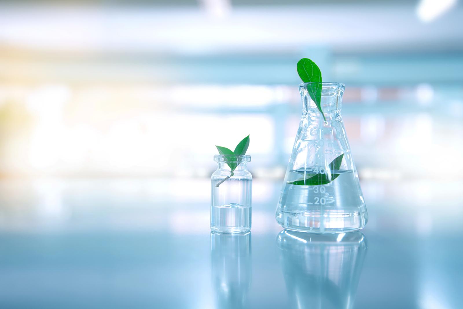 Apply for Global Bio-based Business Plan Competition